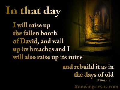 Amos 9:11 In That Day I will Raise Up David's Fallen Booth (brown)